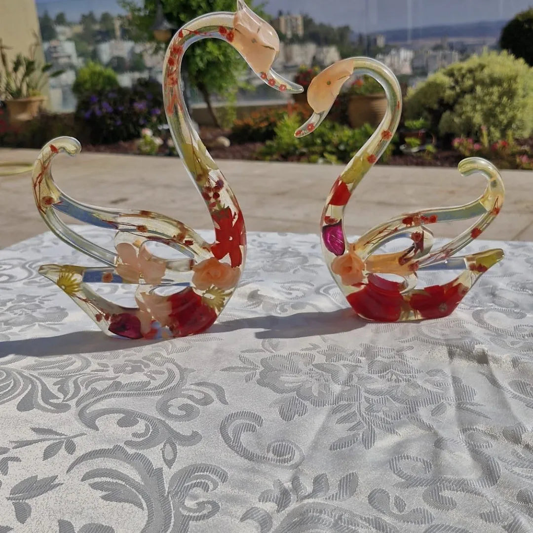 פריחת הברבור בגווני אדום כתום