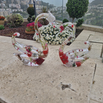 פריחת הברבור בגווני האדום