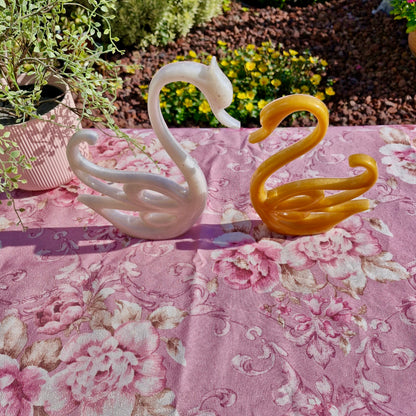 פריחת הברבור בגווני זהב ולבן