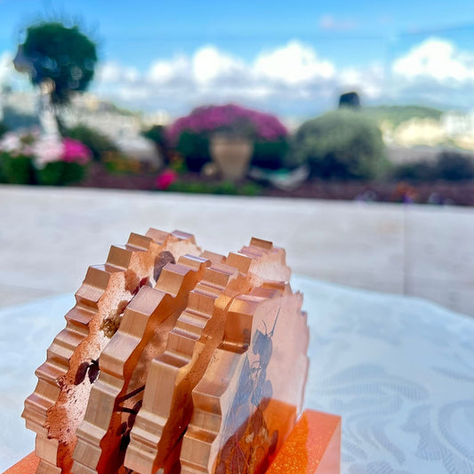 סט תחתיות הקסם - כתום