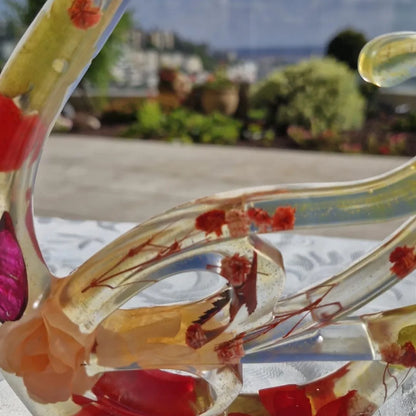 פריחת הברבור בגווני אדום כתום