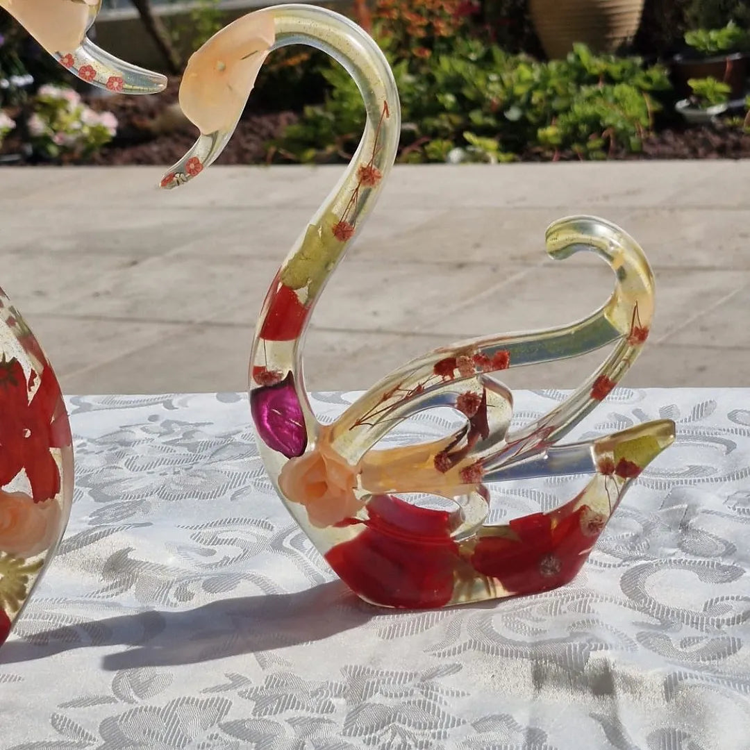 פריחת הברבור בגווני אדום כתום